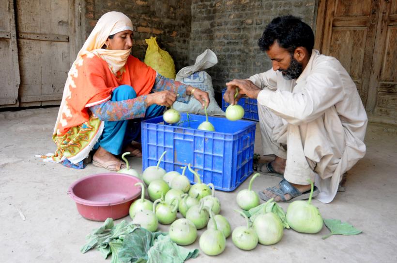 Pakistan: World Bank Approves $102M to Boost Financial Inclusion, Resilience for Vulnerable Populations