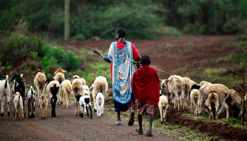 Lady and Child Pastoralists 