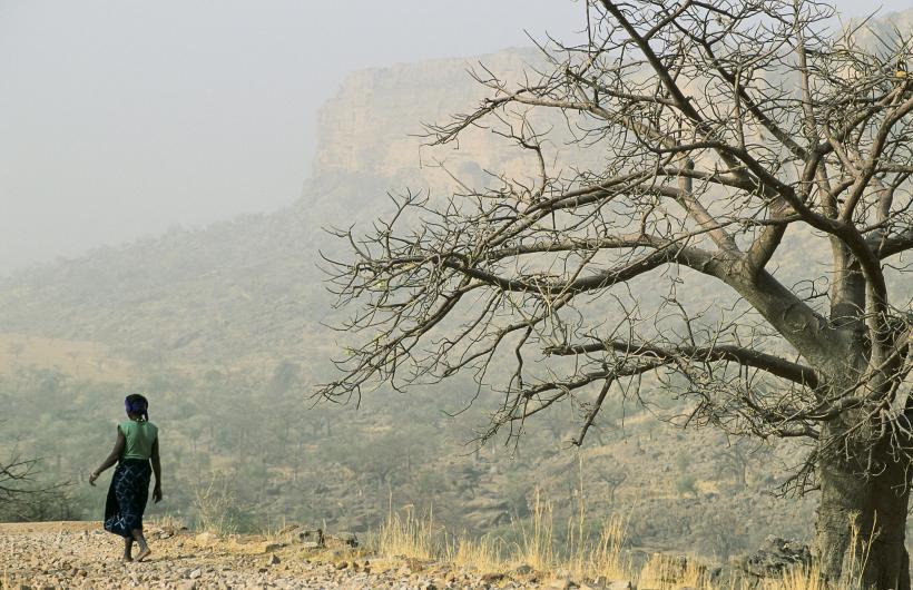 Photo of dry landscape